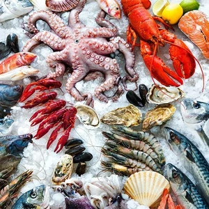 Fish that Shape the Adriatic Table