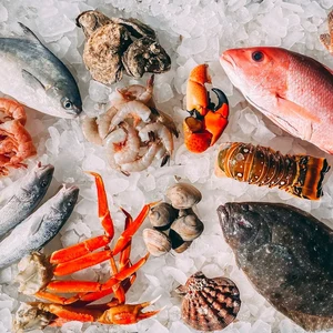 Fish that Shape the Adriatic Table